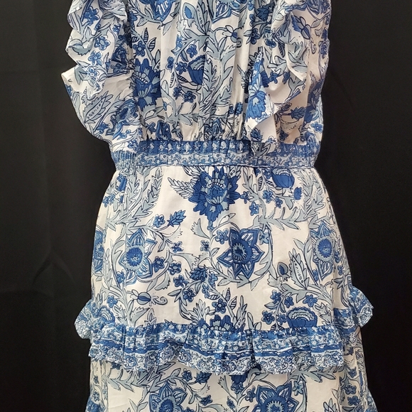 Ro's Garden Dresses & Skirts - Floral Blue and White Womans Dress